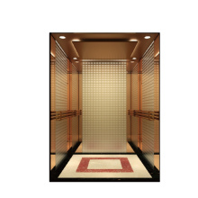 FUJI Vvvf Home Elevator lift Cheap Small Sightseeing Villa Passenger Elevator Lift Panoramic/Observation Glass Elevator